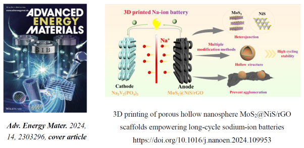 材料学院李亚运副教授团队在Nano Energy等期刊发表新能源材料系列论文